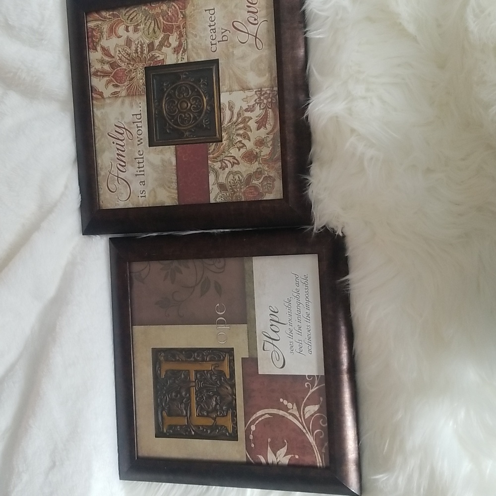 2 bronze colored framed pictures new without tags.